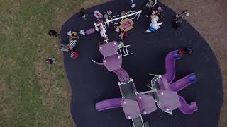 The Geis Group Easter Hunt