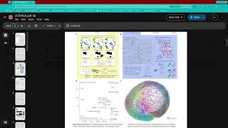 DevoWorm (2026, #24): Cell Tracking, Models of Morphogenesis