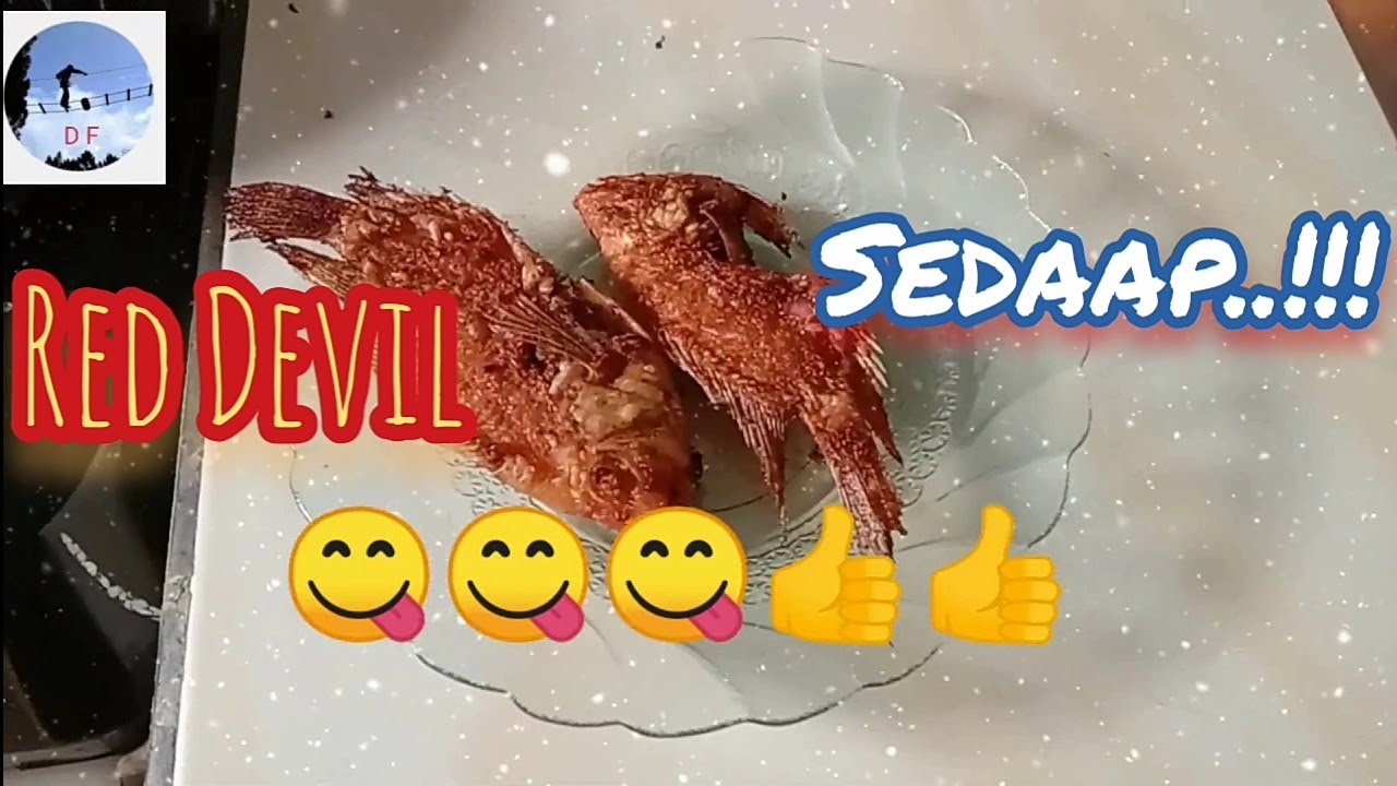 Resep Ikan RED DEVIL Goreng