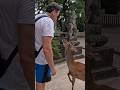 Best Day Trip From Hiroshima Miyajima Island Hike Shrine Deer Vlog Travel Miyajima Japan 