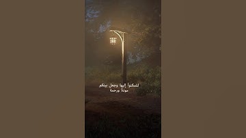 تلاوه هادئة 🎧😌القارئ مصطفى جبل