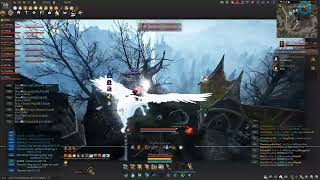 ฺฺBDO Asia Witch Awakening pvp node war tier 2 #37kill
