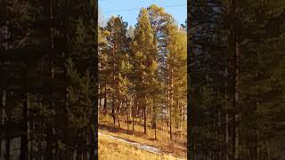 Прекрасная Восточная Сибирь осенью - Beautiful Eastern Siberia in autumn