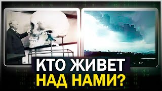 ● ТЕОРИЯ ОБ УСТРОЙСТВЕ МИРА, ЛОМАЮЩАЯ МОЗГ. СКАЗКА О БОБОВОМ СТЕБЛЕ В НАУЧНОЙ ТРАКТОВКЕ