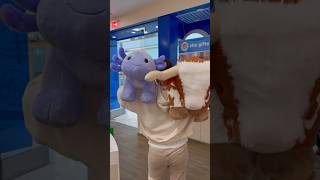 How much stuffing does it take to fill two giant Build-A-Bears? Lavender Axolotl and Giant Longhorn