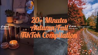 20+ Minutes Autumn/Fall TikTok Compilation