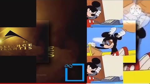 79 Shuric Scans With All Slides