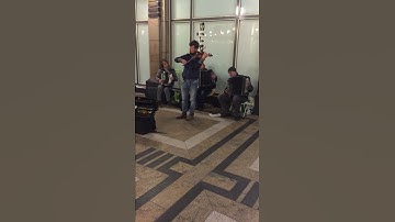 Street Musicians of Cologne