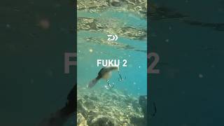 ふく弐｜FUKU 2　　 #ダイワ #daiwa