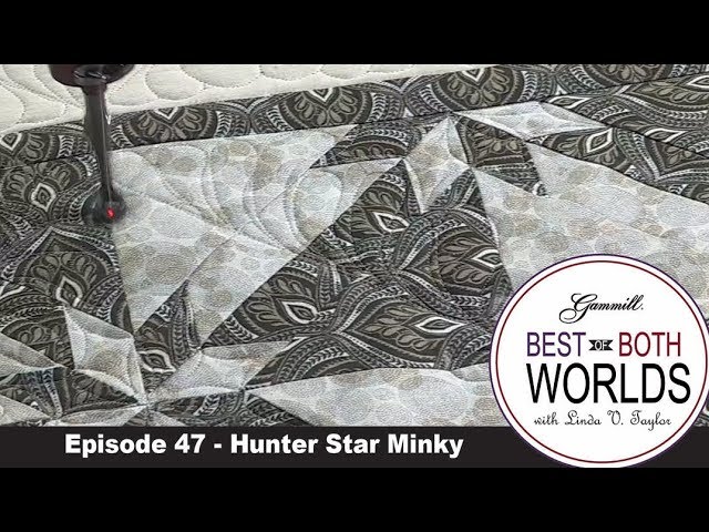 Hunter Star Minky - Best of Both Worlds 47