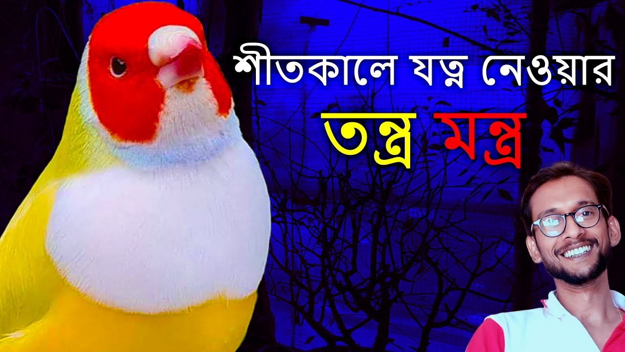 Лучший белковый корм для зябликов / Удивительная важность живого корма / Уход за зябликами