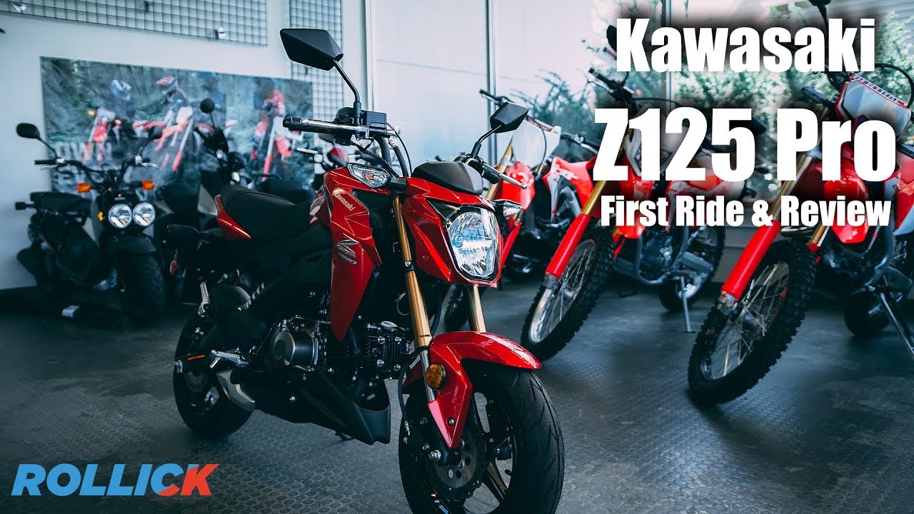 Tutor assimilation Monet KAWASAKI Z125 2020 125cc STREET price, specifications, videos