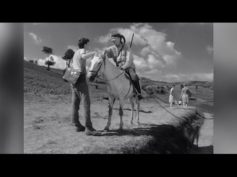 სანდრო ჟორჟოლიანი - 7 მაისს,19:30 საათზე, \"ჰოპლა! ჩვენ ვცოცხლობთ\