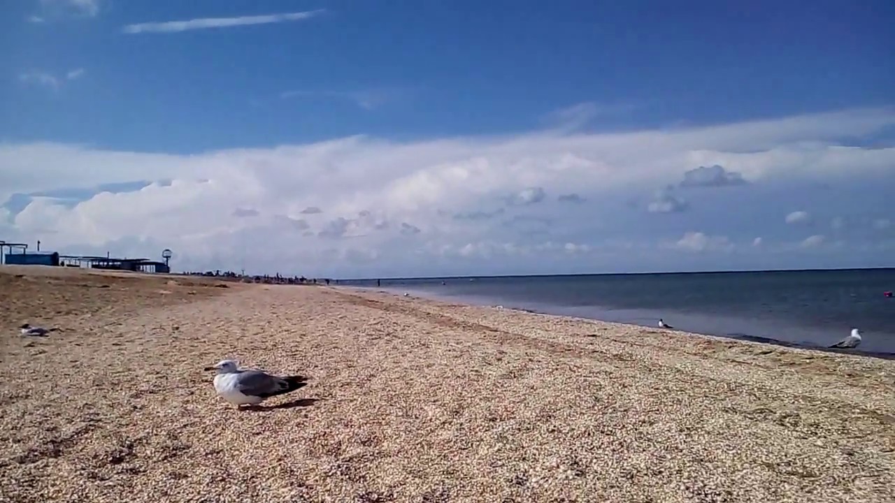 Пляж счастливцево