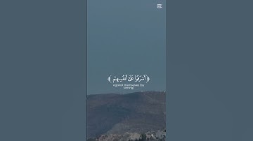 قرآن كريم ـــــ سورة  الزمر🤍 اكتب شيء تؤجر عليه