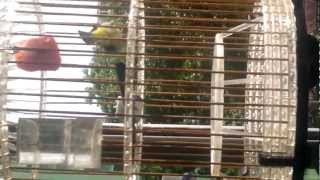 puteh aaa 002.mp4