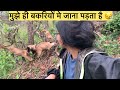 हमेशा मुझे ही बकरियों मे जाना पड़ता है । मौसम ने तो मुझे धोका दे दिया 🌧️😪।@Oyeenehaarwt