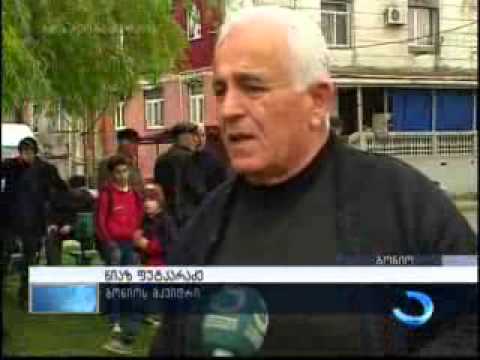 გონიოში მიწების დაკანონების საკითხს სპეციალური კომისია შეისწავლის