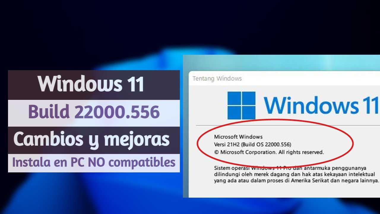 Windows 11 Build 22000 556 Instala En PC No Compatibles Cambios Y 