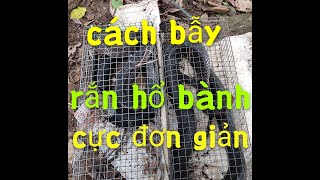 Top 9 cách làm mồi bẫy rắn hổ mang hay nhất năm 2022