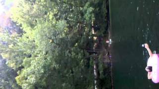 Cheat Lake Cove Tree Faceplant