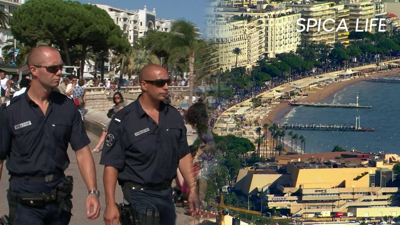 Bagarre, violence et excès : dérapages en série sur la French Riviera