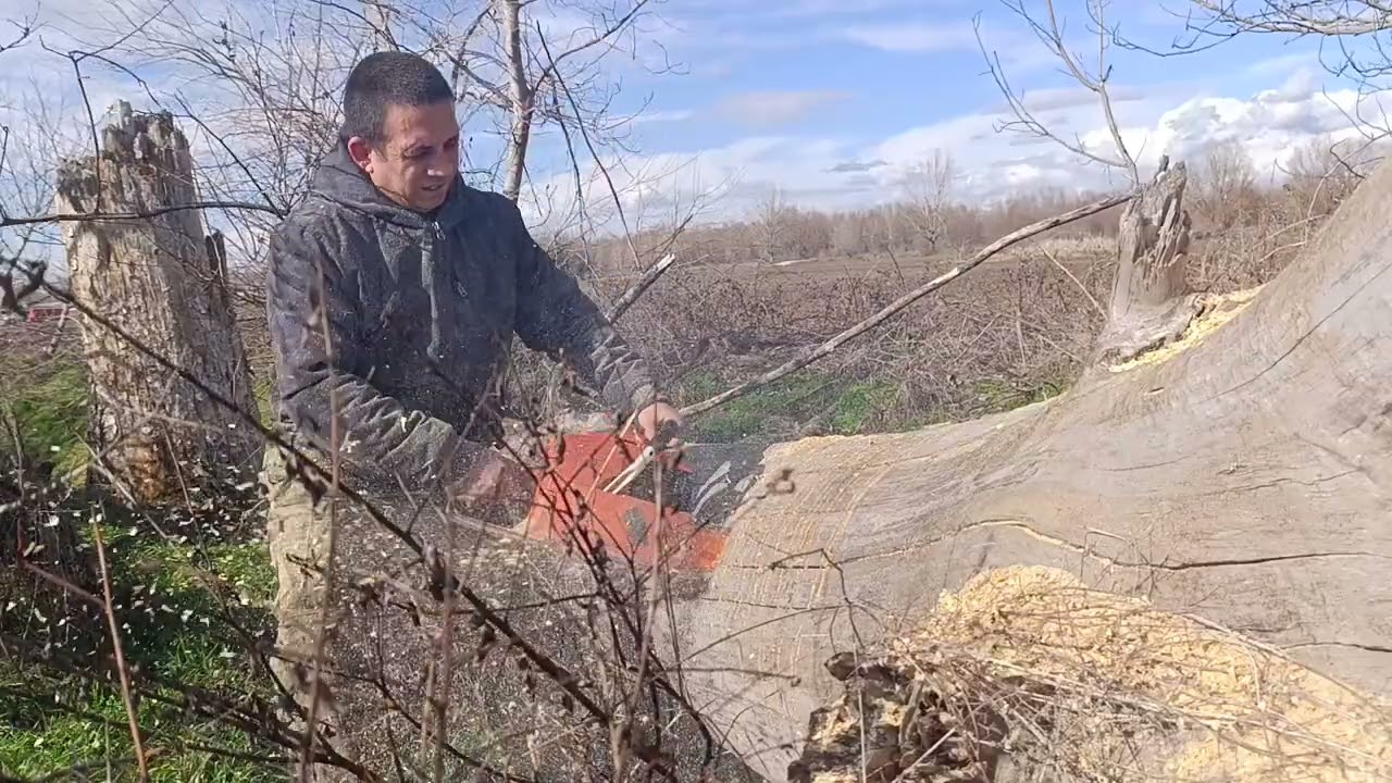 Husqvarna 298🇸🇪 power