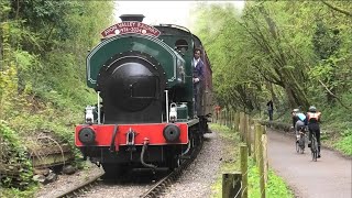 Avon Valley Railway 50th Anniversary with NCB 07 Wimblebury, 1919 Cranford & 4015 Karel 04/04/24