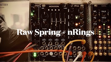 Error Instruments Raw Spring + ALA nRings