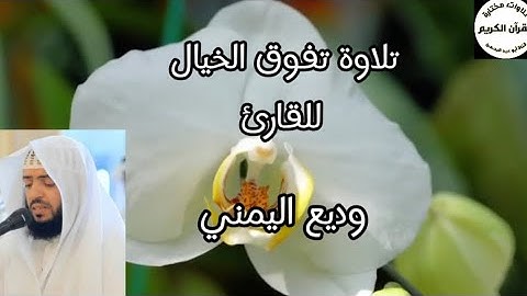 سورة الزمر 🌿تلاوة تفوق الخيال 🌿للقارئ وديع اليمني