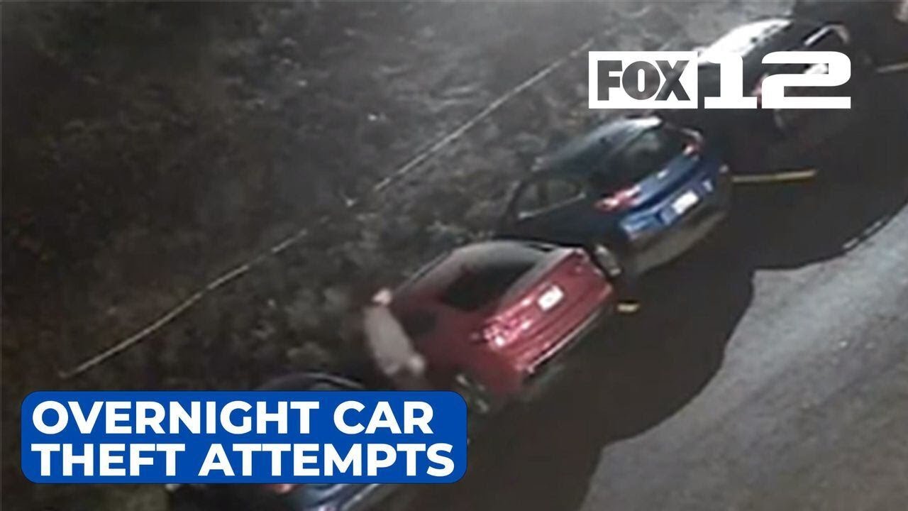 Attempted car theft in Salmon Creek caught on camera - YouTube