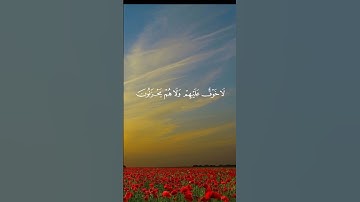 قران كريم_من سورة يونس_تلاوة هادئة بصوت جميل _راحة نفسية #قرآن