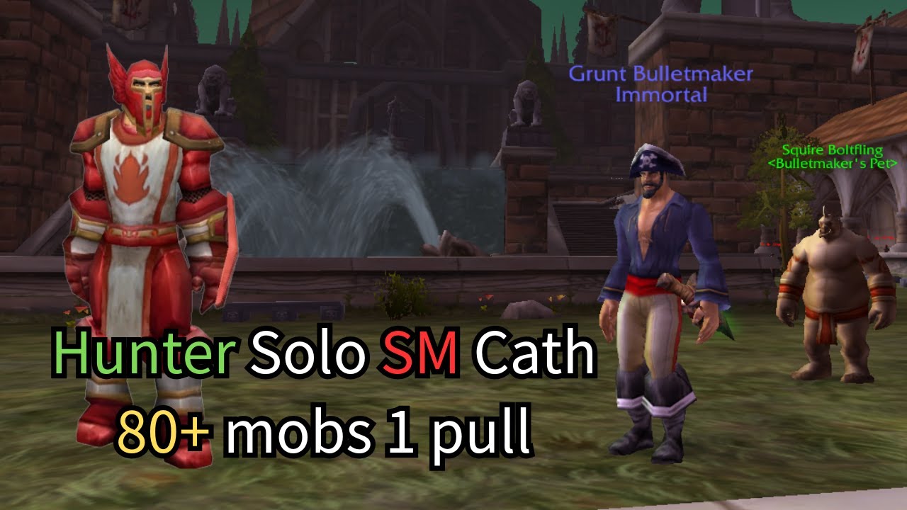 Turtle WoW - Hunter solo SM Cath 80mobs 1pull.