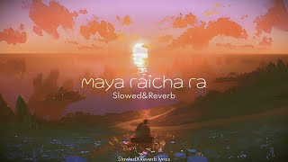 Maya raicha ra - Slowed & Reverb | kali prassad baskota & sadeekshya kattel | lyrical song