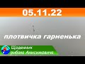 Рибалка на плотвичку у листопаді