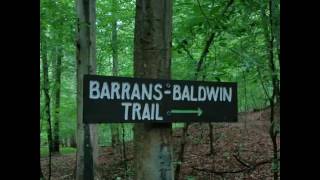 Cromwell Valley Park Hiking BcB