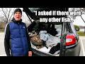 Poacher Caught Hiding 4 Steelhead Trout in His Car