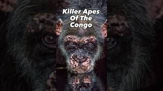 Killer Apes Of The Congo apes congo shorts