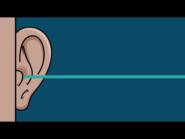 𝗔𝗦𝗠𝗥 L👂←→👂R High-Intensity Ear Therapy