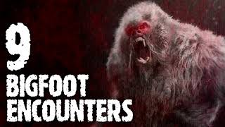 9 HORRIFYING BIGFOOT ENCOUNTERS (Sasquatch, Bigfoot) - What Lurks Beneath