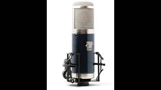 Roswell Delphos Ii Quick Review  The Mic That Changed My Voice Over Career