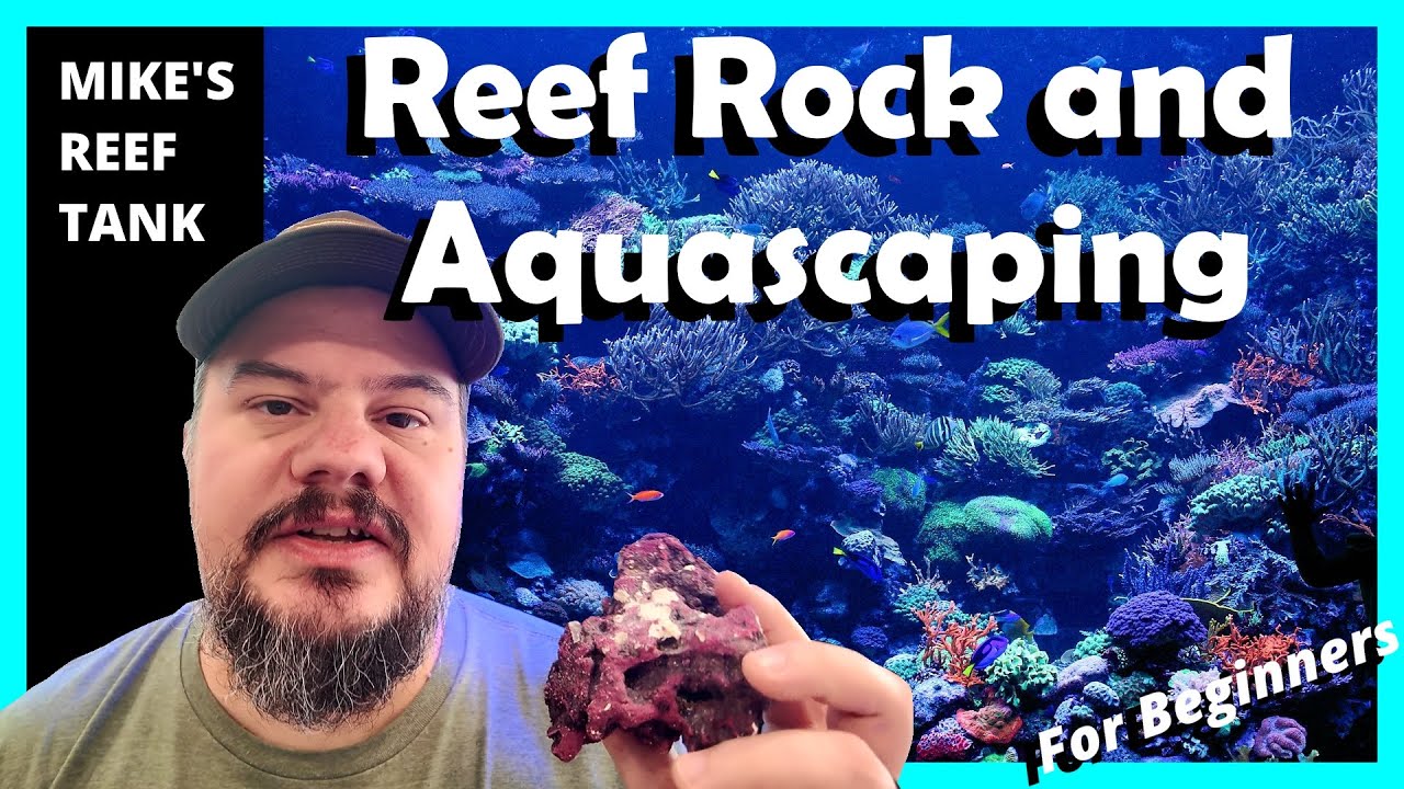Reef Rock & Aquascaping Explained for Beginners (Avoid These Mistakes!)
