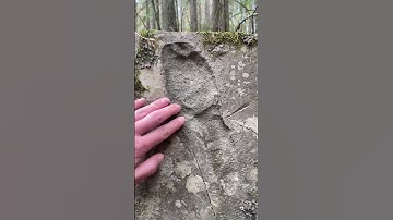 Thumbnail of THIS LOOKS LIKE A FOSSILIZED HUMAN FOOTPRINT #shorts #mystery #cool #ancient #short