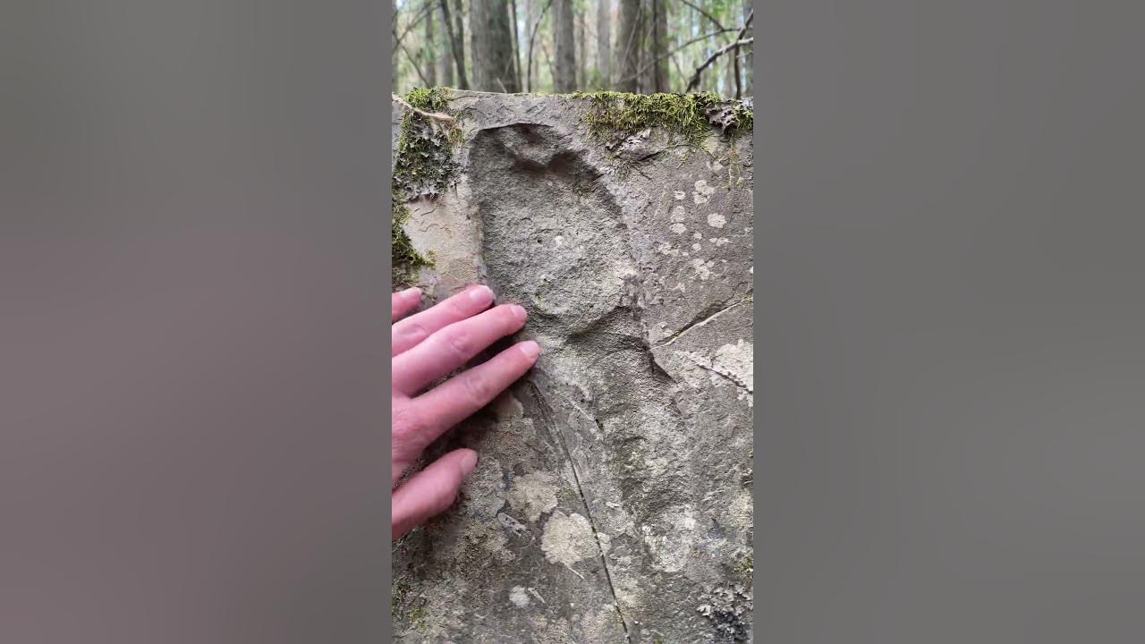 THIS LOOKS LIKE A FOSSILIZED HUMAN FOOTPRINT #shorts #mystery #cool #ancient #short