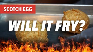 WILL IT FRY? | Scotch Egg 🥚