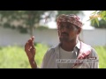 الحديدة الحرب تتسبب في توقف عدد من أسواق الفل تقرير حسن محمد
