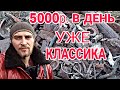 КТО БЫ МОГ ПОДУМАТЬ ЧТО В ЭТИХ ЗАРОСЛЯХ СТОЛЬКО ДЕНЕГ. КОП МЕТАЛЛОЛОМА.