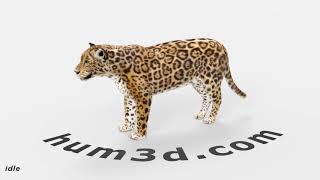Jaguar 3D model by 3DModels.org Jaguar Logo 3d Model