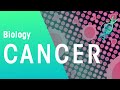 What is cancer  genetics  biology  fuseschool
