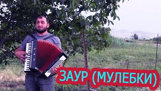 Заур Магомедов (Мулебки) 2020  Даргинская песня Dagestan song